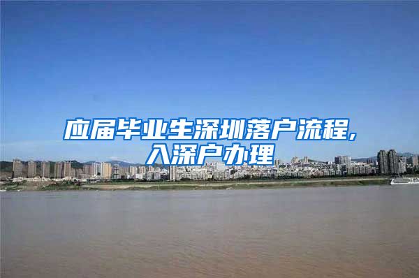 应届毕业生深圳落户流程,入深户办理