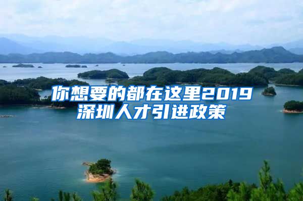 你想要的都在这里2019深圳人才引进政策