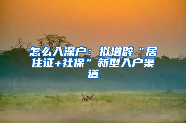 怎么入深户：拟增辟“居住证+社保”新型入户渠道