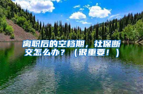 离职后的空档期，社保断交怎么办？（很重要！）