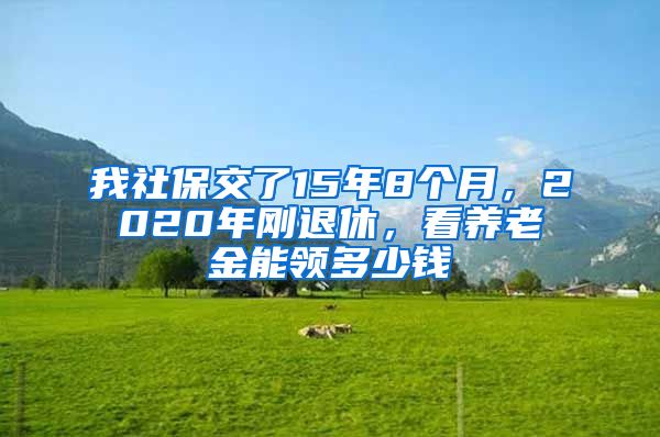 我社保交了15年8个月，2020年刚退休，看养老金能领多少钱