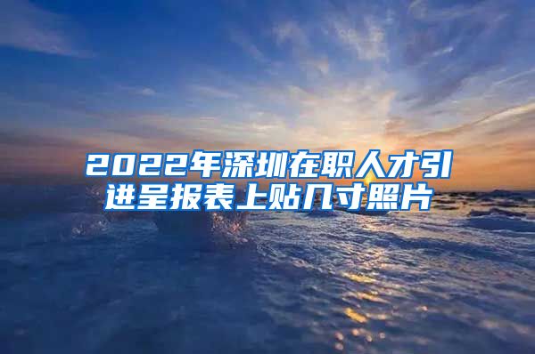 2022年深圳在职人才引进呈报表上贴几寸照片