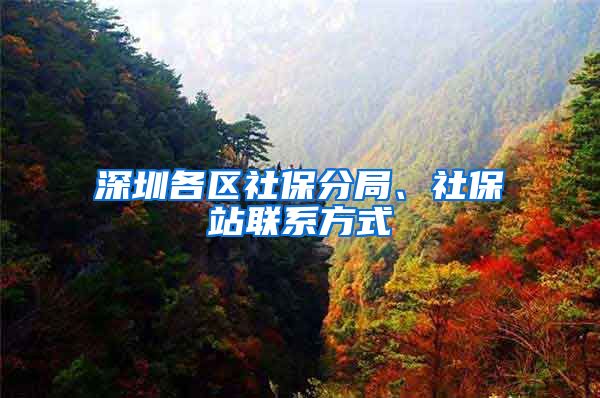 深圳各区社保分局、社保站联系方式