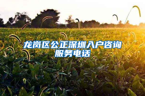 龙岗区公正深圳入户咨询服务电话