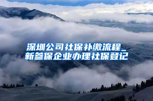 深圳公司社保补缴流程_新参保企业办理社保登记