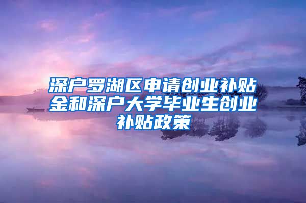 深户罗湖区申请创业补贴金和深户大学毕业生创业补贴政策