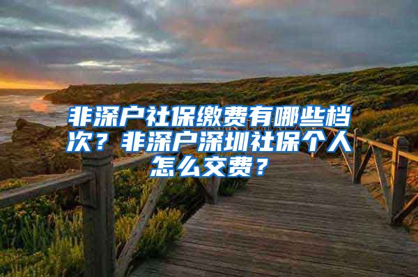 非深户社保缴费有哪些档次？非深户深圳社保个人怎么交费？