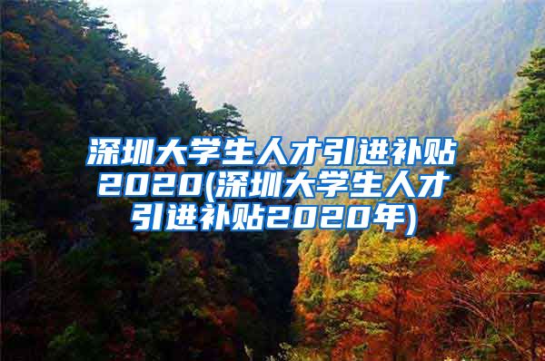 深圳大学生人才引进补贴2020(深圳大学生人才引进补贴2020年)