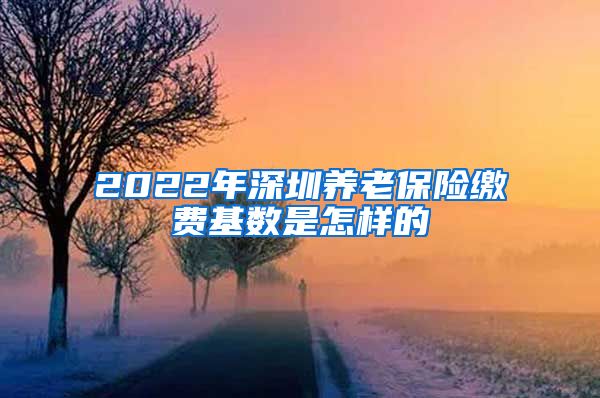 2022年深圳养老保险缴费基数是怎样的