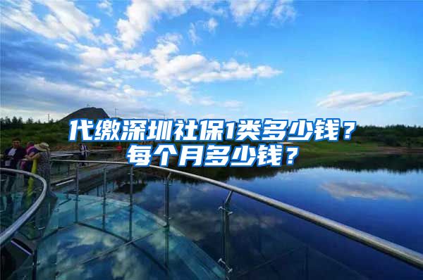 代缴深圳社保1类多少钱？每个月多少钱？