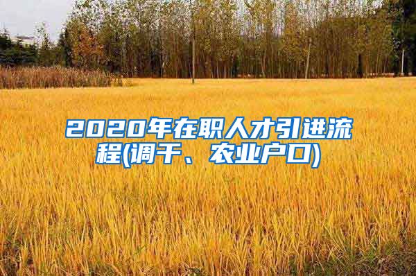 2020年在职人才引进流程(调干、农业户口)