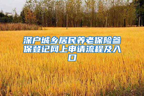 深户城乡居民养老保险参保登记网上申请流程及入口