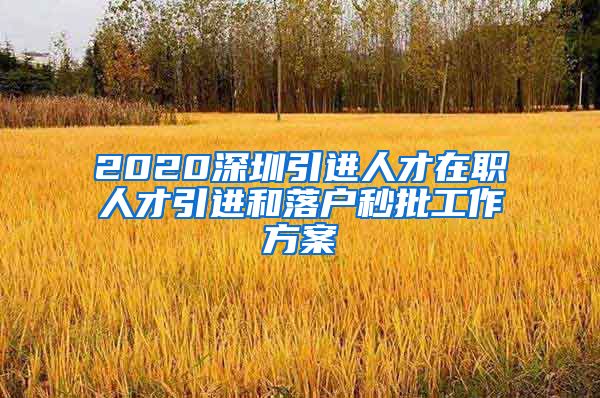 2020深圳引进人才在职人才引进和落户秒批工作方案