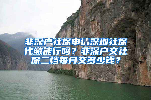 非深户社保申请深圳社保代缴能行吗？非深户交社保二档每月交多少钱？