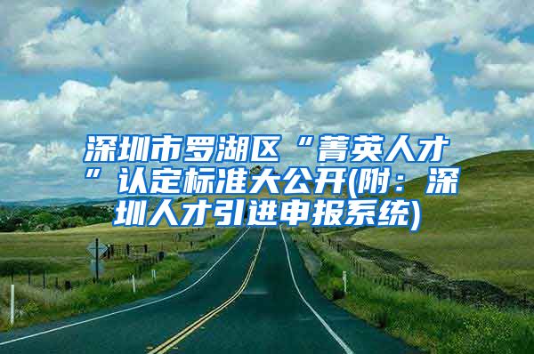 深圳市罗湖区“菁英人才”认定标准大公开(附：深圳人才引进申报系统)