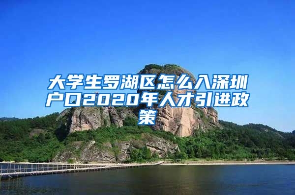 大学生罗湖区怎么入深圳户口2020年人才引进政策