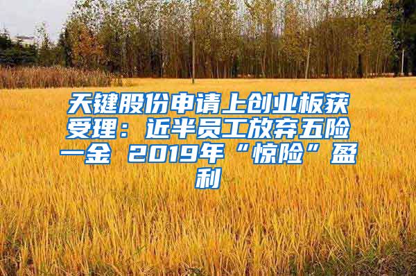 天键股份申请上创业板获受理：近半员工放弃五险一金 2019年“惊险”盈利