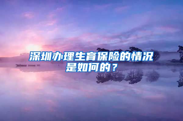 深圳办理生育保险的情况是如何的？