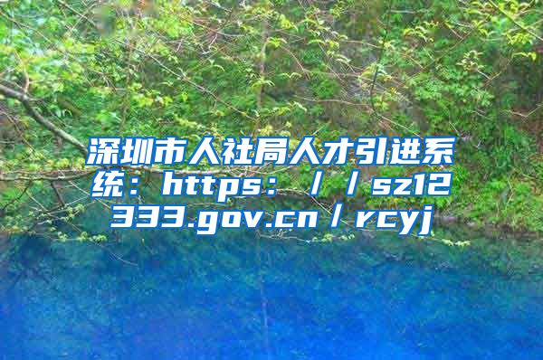 深圳市人社局人才引进系统：https：／／sz12333.gov.cn／rcyj