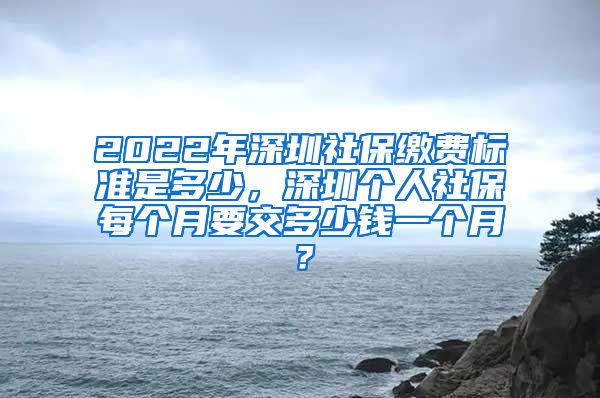 2022年深圳社保缴费标准是多少，深圳个人社保每个月要交多少钱一个月？