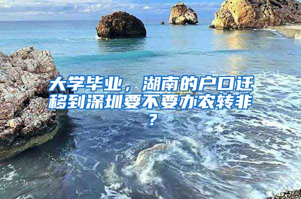 大学毕业，湖南的户口迁移到深圳要不要办农转非？