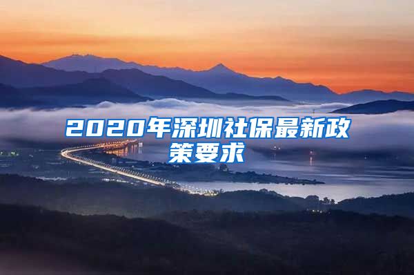 2020年深圳社保最新政策要求