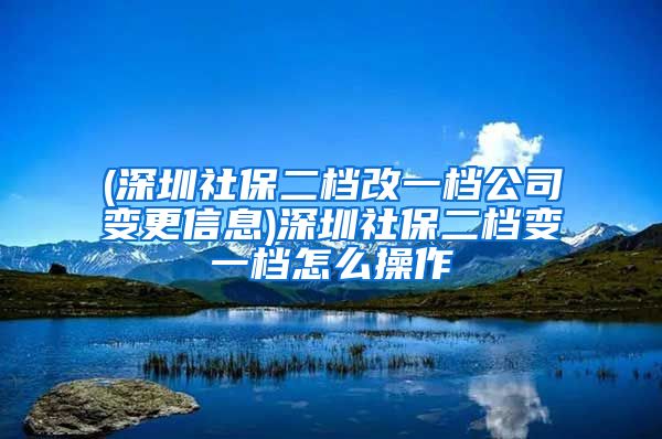 (深圳社保二档改一档公司变更信息)深圳社保二档变一档怎么操作