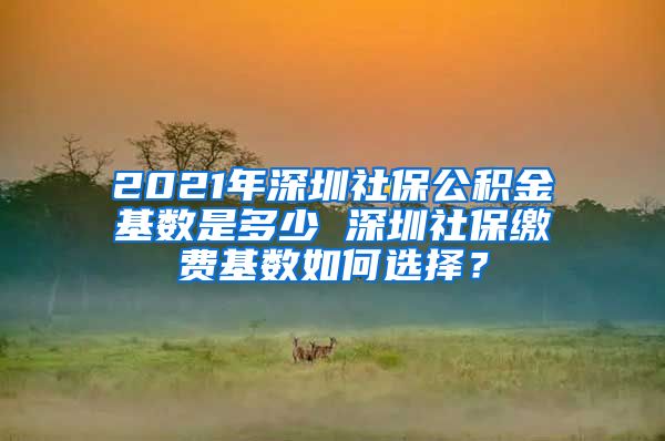 2021年深圳社保公积金基数是多少 深圳社保缴费基数如何选择？