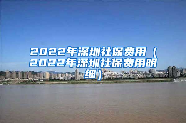 2022年深圳社保费用（2022年深圳社保费用明细）