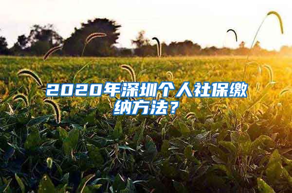 2020年深圳个人社保缴纳方法？