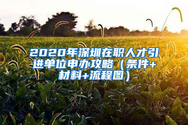 2020年深圳在职人才引进单位申办攻略（条件+材料+流程图）