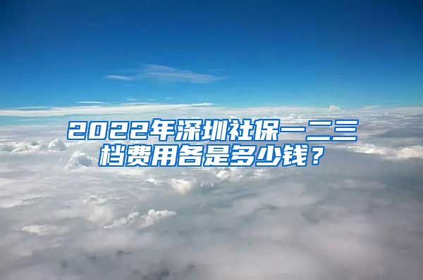 2022年深圳社保一二三档费用各是多少钱？