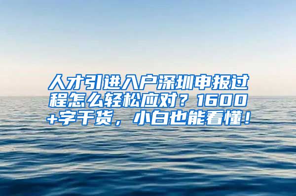 人才引进入户深圳申报过程怎么轻松应对？1600+字干货，小白也能看懂！