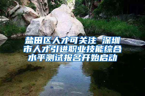 盐田区人才可关注 深圳市人才引进职业技能综合水平测试报名开始启动