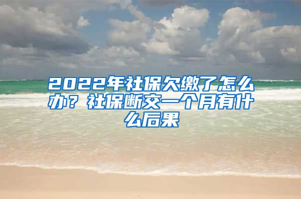 2022年社保欠缴了怎么办？社保断交一个月有什么后果