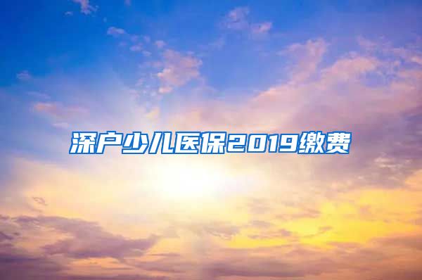 深户少儿医保2019缴费