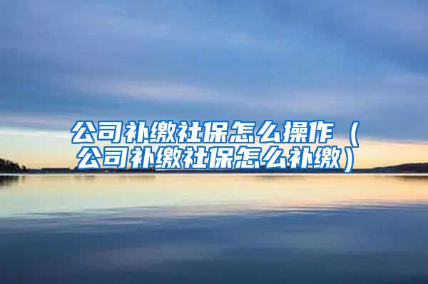 公司补缴社保怎么操作（公司补缴社保怎么补缴）