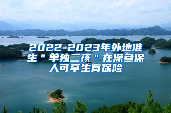 2022-2023年外地准生＂单独二孩＂在深参保人可享生育保险