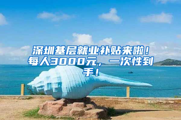 深圳基层就业补贴来啦！每人3000元，一次性到手！