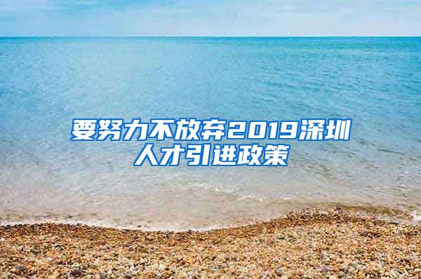 要努力不放弃2019深圳人才引进政策