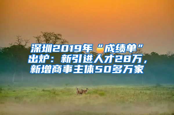 深圳2019年“成绩单”出炉：新引进人才28万，新增商事主体50多万家