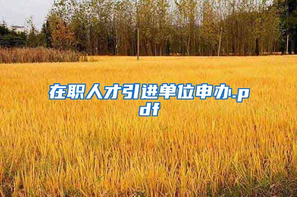 在职人才引进单位申办.pdf