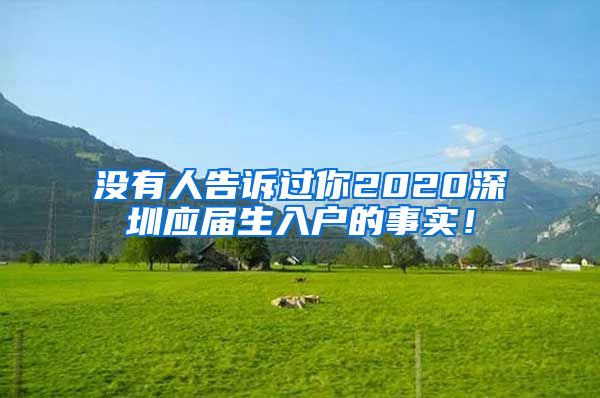 没有人告诉过你2020深圳应届生入户的事实！