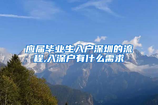 应届毕业生入户深圳的流程,入深户有什么需求