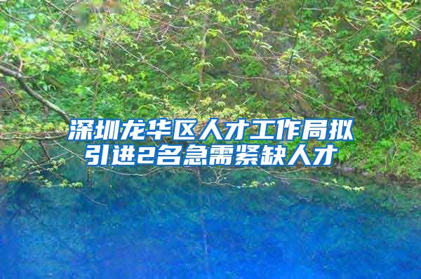 深圳龙华区人才工作局拟引进2名急需紧缺人才