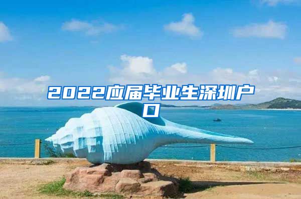 2022应届毕业生深圳户口