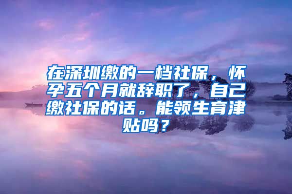 在深圳缴的一档社保，怀孕五个月就辞职了，自己缴社保的话。能领生育津贴吗？