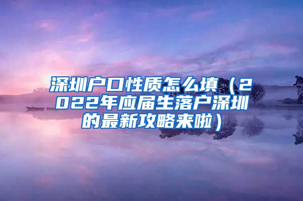 深圳户口性质怎么填（2022年应届生落户深圳的最新攻略来啦）