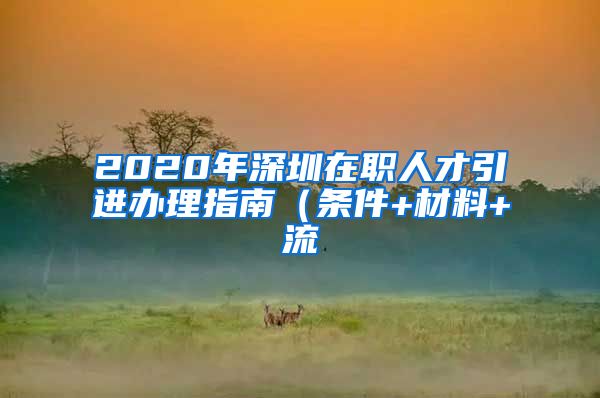 2020年深圳在职人才引进办理指南（条件+材料+流