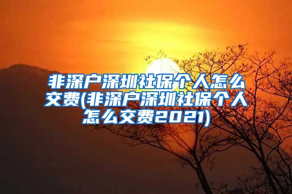 非深户深圳社保个人怎么交费(非深户深圳社保个人怎么交费2021)